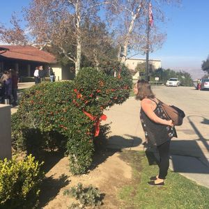 Meet your Posher, Caitlin